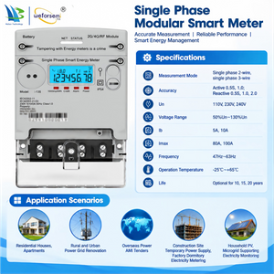 Factory Modular Single Phase Smart Energy Meter Multi Communication Remote AMI Management