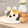 One-stop service SKD Factory Interactive Evolving AI Companion Plush Toy Robot with Long-Term Memory For Interactive Companionship