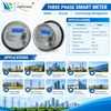 ANSI IP54 Three Phase ANSI Smart Energy Meter Dual Communication Utility Gauge manufacturer